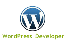 Wordpress Developer