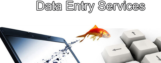 Outsourcing Data Entry Services