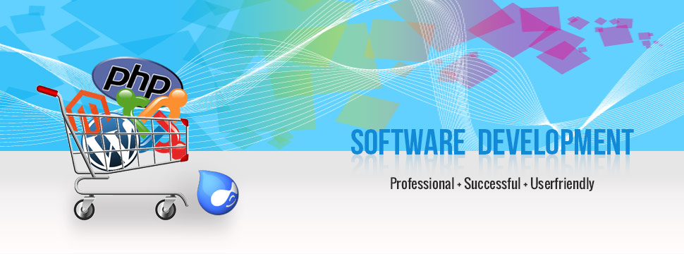 Software Development Banner